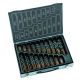 Maletin Brocas Alpen Hss Sprint Master  170 Piezas